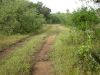 73 - Ranch Road by Alan Bryant