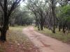 75 - Ranch Road by Alan Bryant