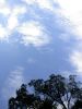 76 - Blue Sky by Alan Bryant