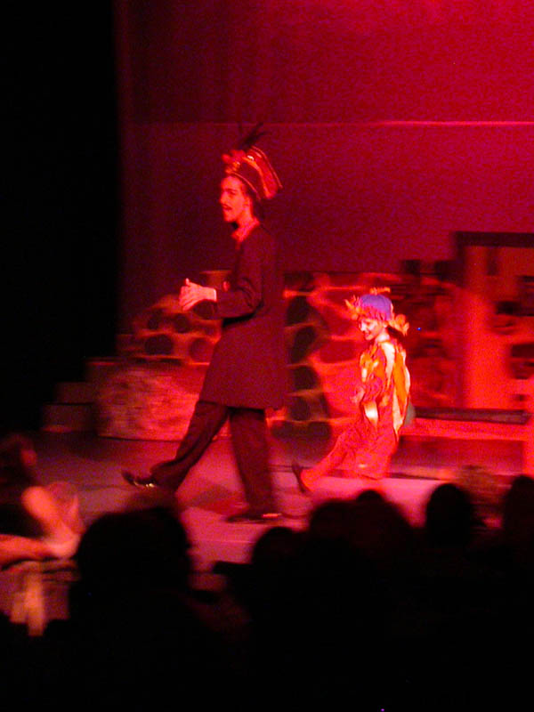 23 - 6/19 - Sympathetic Parrot