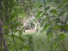 14 - Doe by Alan Bryant