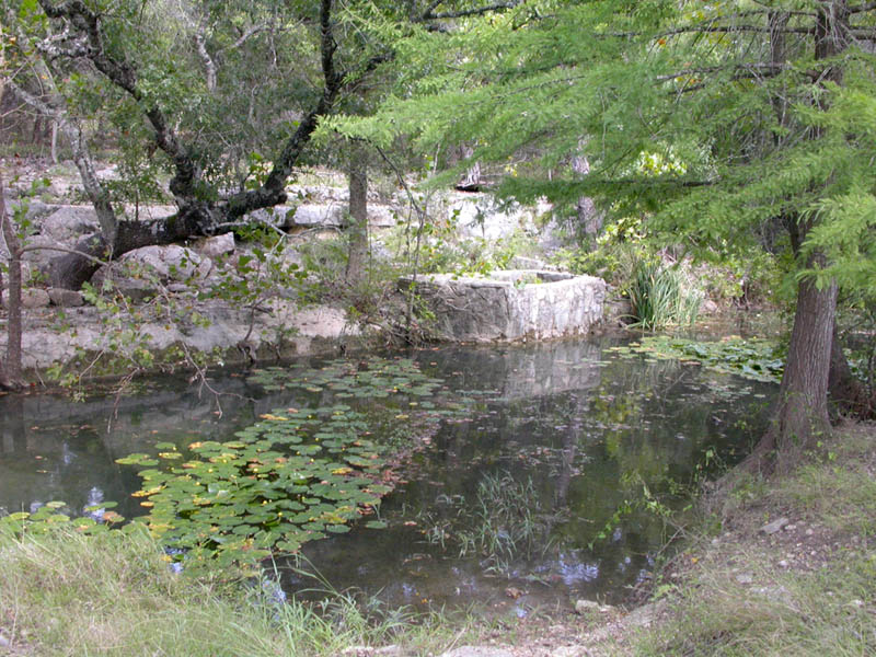 25 - Mystery Lagoon