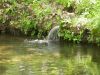 47 - Tiny Waterfall by Alan Bryant