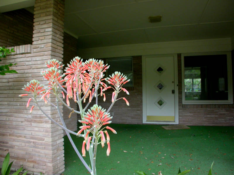 14 - Front Door