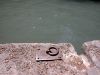 50 - Ring by Alan Bryant
