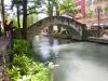 51 - Bridge by Alan Bryant