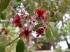 58 - Flowers by Alan Bryant