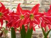 01 - Easter Flowers by Alan Bryant