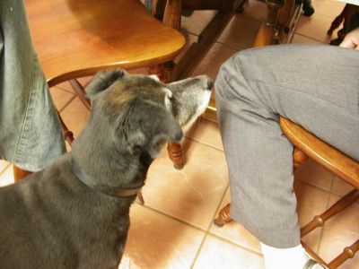 05 - Attentive Tinker