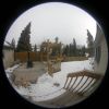 015 - Back Yard by Alan Bryant