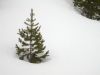 025 - Little Tree by Alan Bryant