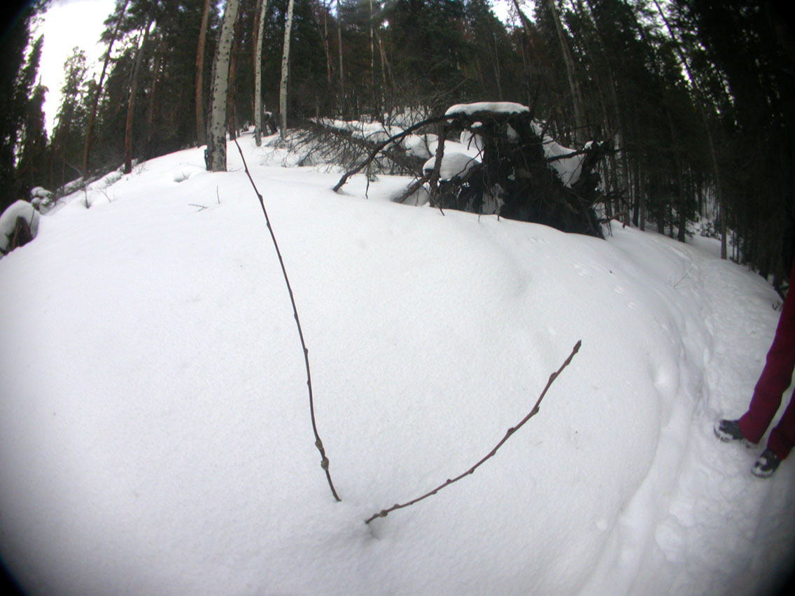 042 - Buried Martian