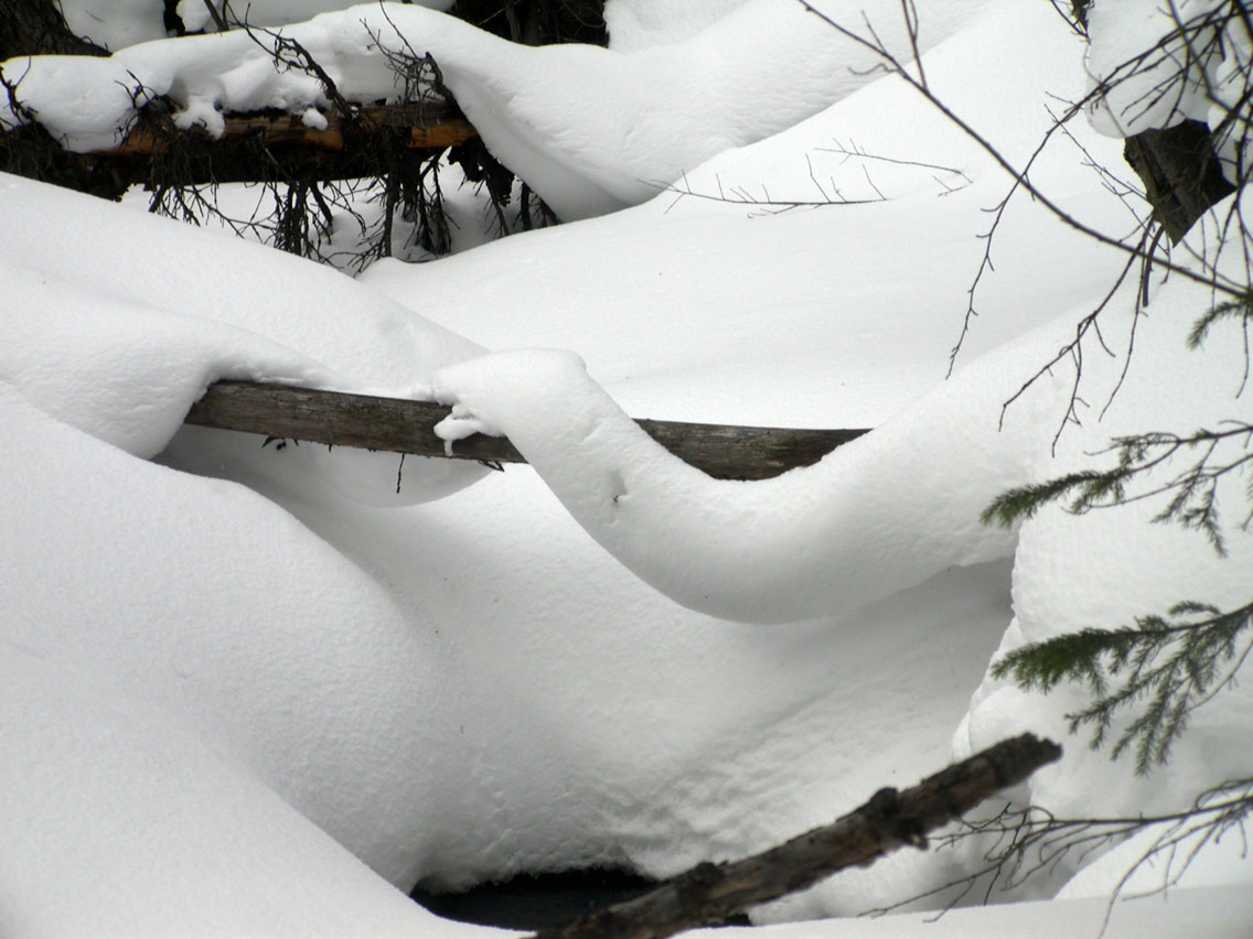 049 - Snow Ribbon