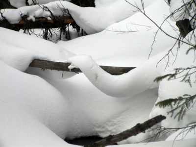 049 - Snow Ribbon