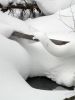 050 - Snow Ribbon by Alan Bryant