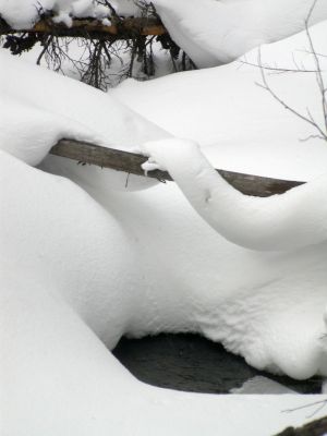 050 - Snow Ribbon