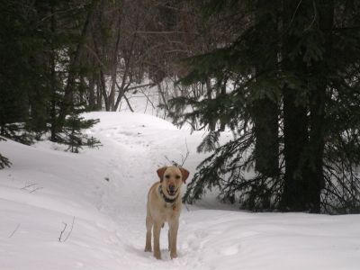 054 - Cheyenne