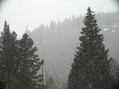 055 - Snow