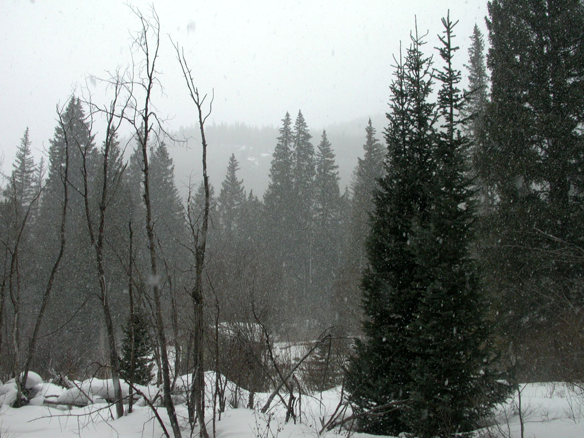 057 - Snow