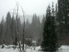 057 - Snow by Alan Bryant