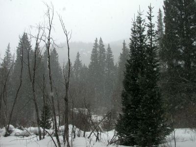 057 - Snow