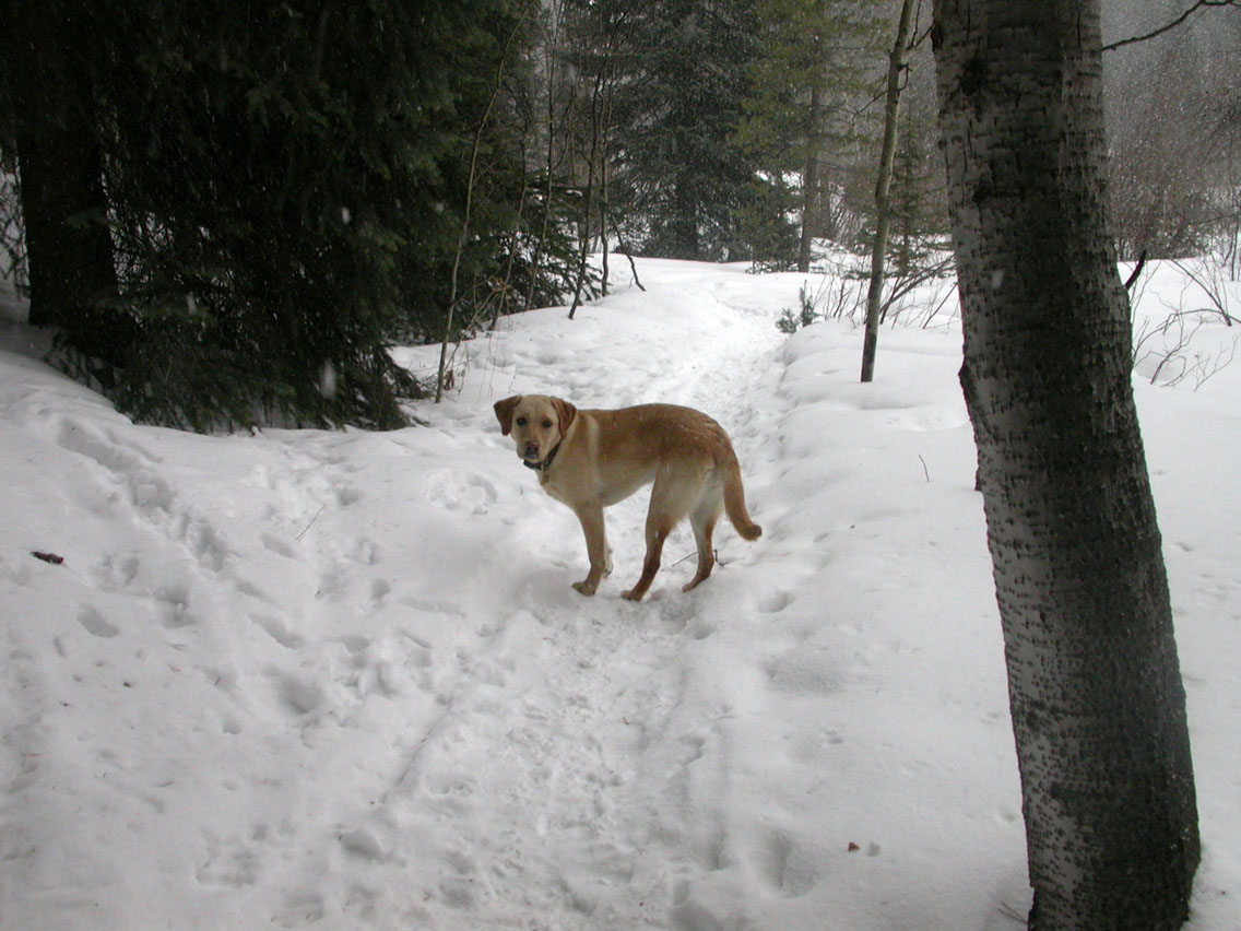 058 - Cheyenne