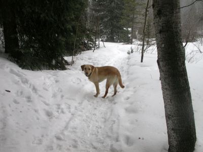 058 - Cheyenne