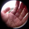 08 - Hand by Alan Bryant
