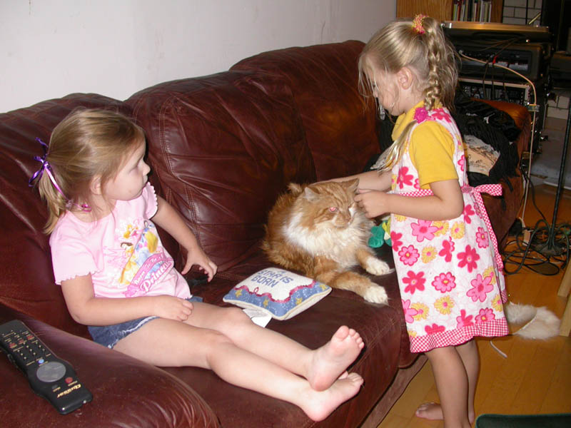 08/16 - 20 Alyssa, Thumper and Hyla