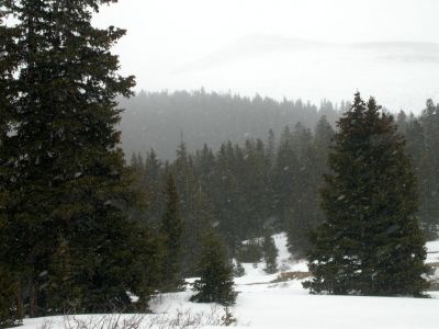 095 - Snow