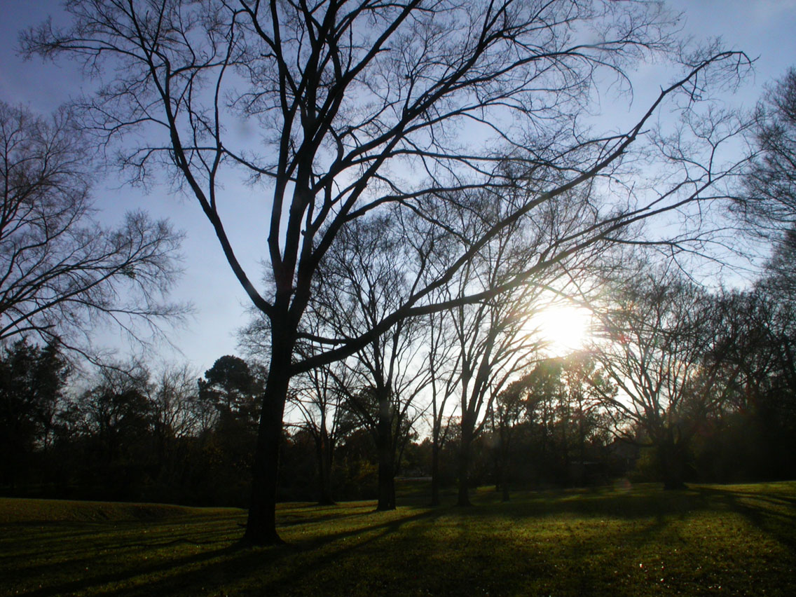 14 - 12/16 - Tanglewood Park