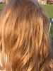 02 - Leah's Hair by Alan Bryant