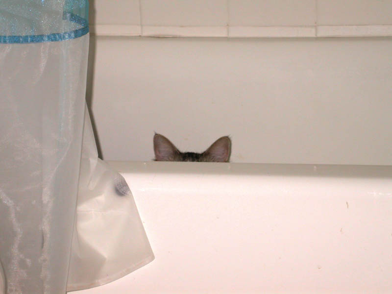 09/03 - 01 Squeak Tries To Hide