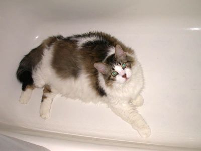 09/03 - 02 Squeak's Cover Blown