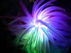 21 - Glowing Toy by Alan Bryant