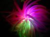 22 - Glowing Toy by Alan Bryant