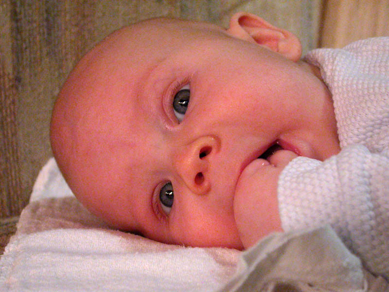 002 - 4/12 - William