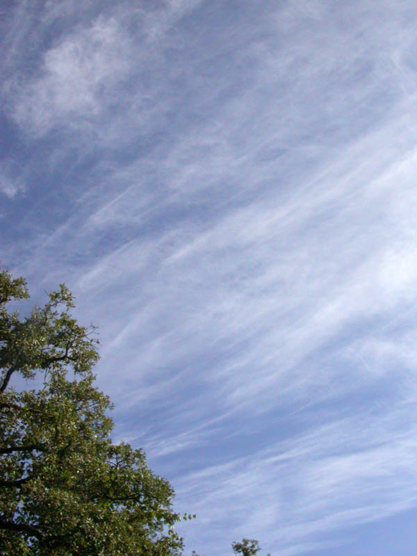 01 - Sky Friday Morning