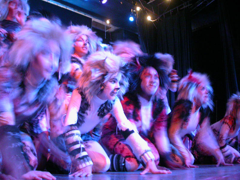 113 - 04/27 - Naming of Cats