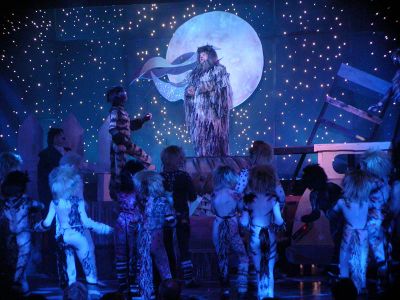 101 - 04/29 - A Cat Is Not A Dog