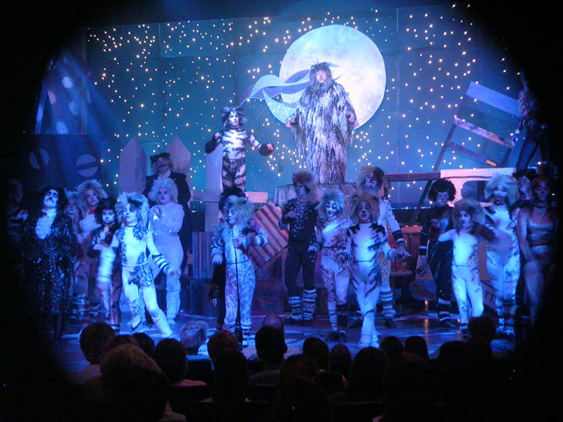 102 - 04/29 - A Cat Is Not A Dog