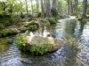 01 - Cypress Creek by Alan Bryant