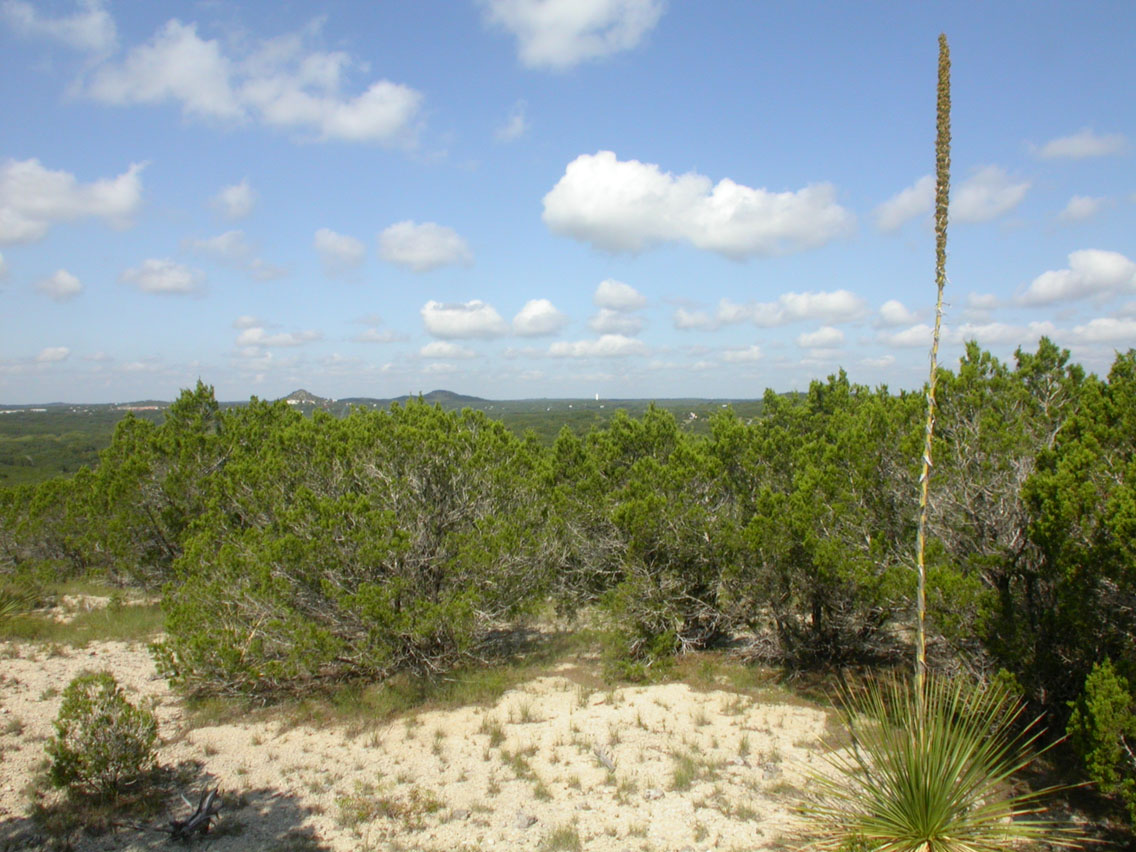 10 - Hillside