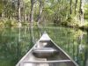 15 - Cypress Creek by Alan Bryant