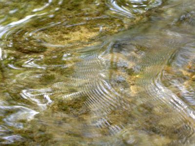 19 - Ripples