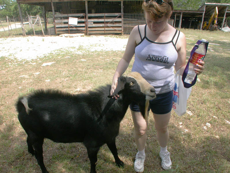 51 - Gigi's New Friend