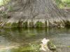 33 - Cypress Creek by Alan Bryant