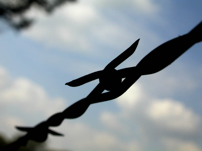 068 - Barbwire