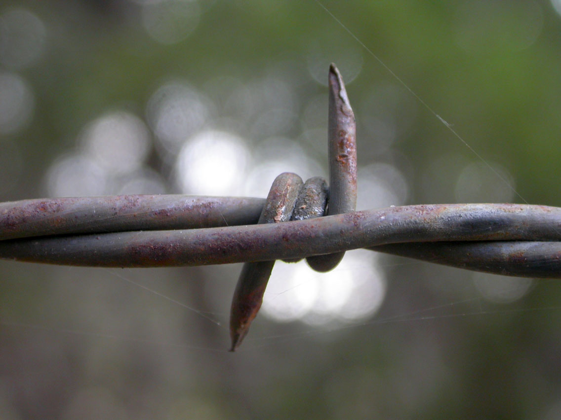 069 - Barbwire