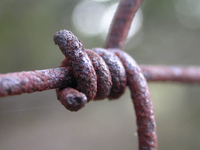 070 - Rusting Fence